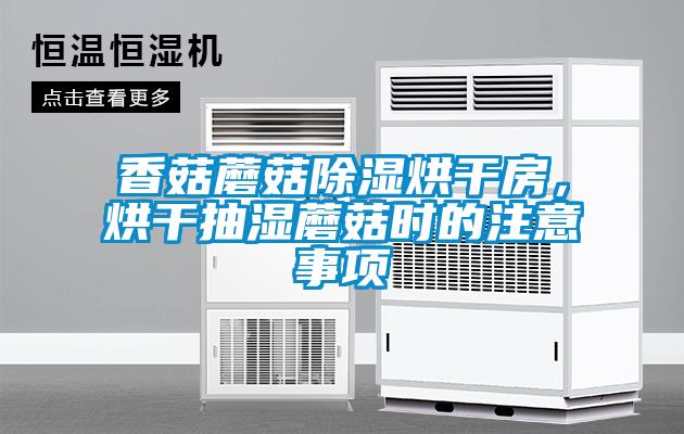 香菇蘑菇除濕烘干房，烘干抽濕蘑菇時(shí)的注意事項(xiàng)