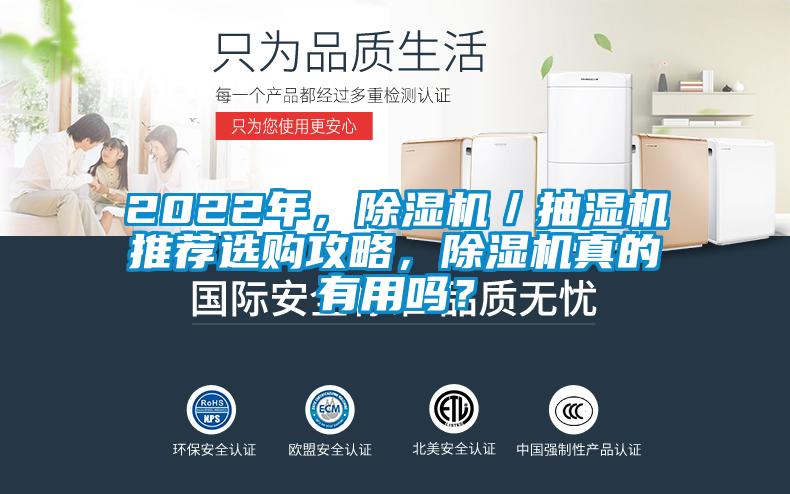 2022年，除濕機／抽濕機推薦選購攻略，除濕機真的有用嗎？