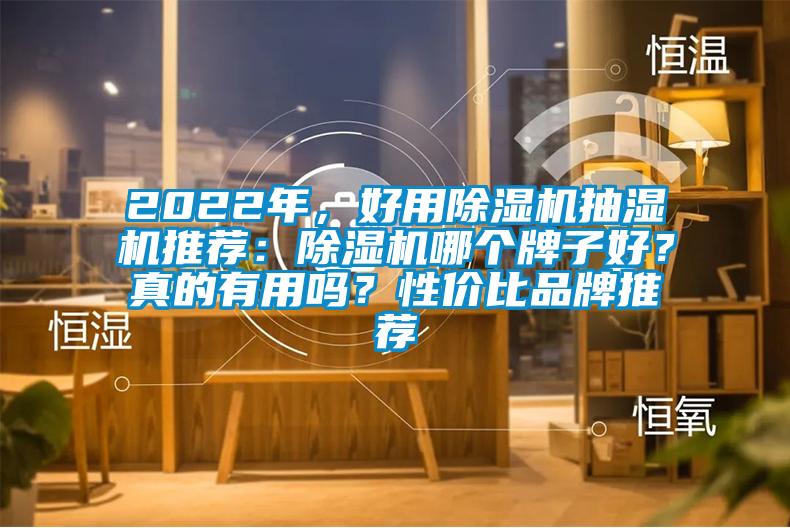 2022年，好用除濕機(jī)抽濕機(jī)推薦：除濕機(jī)哪個(gè)牌子好？真的有用嗎？性價(jià)比品牌推薦