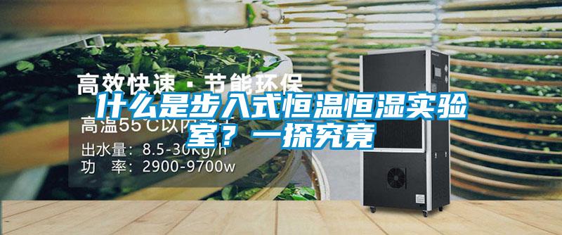 什么是步入式恒溫恒濕實驗室？一探究竟