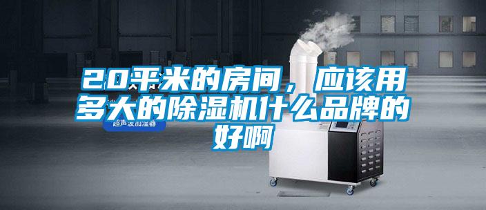 20平米的房間，應(yīng)該用多大的除濕機什么品牌的好啊