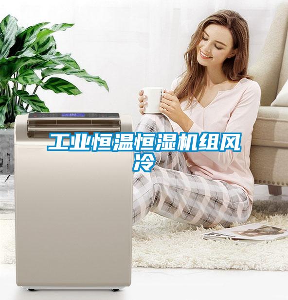 工業(yè)恒溫恒濕機組風(fēng)冷