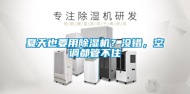 夏天也要用除濕機(jī)？沒錯(cuò)，空調(diào)都管不住