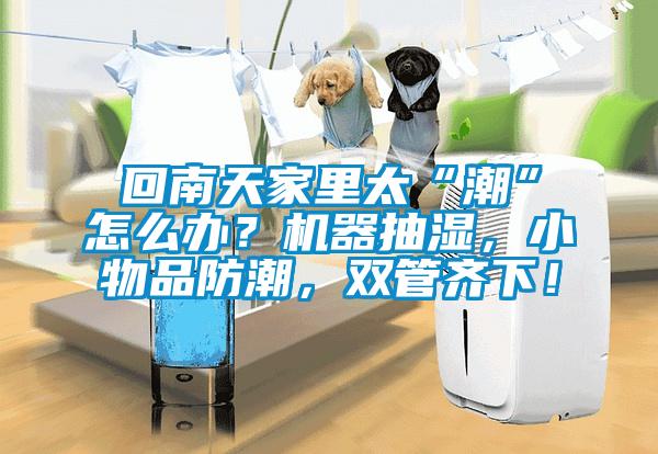 回南天家里太“潮”怎么辦？機器抽濕，小物品防潮，雙管齊下！