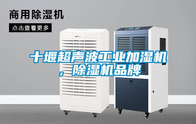 十堰超聲波工業(yè)加濕機，除濕機品牌