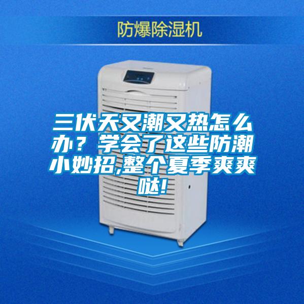 三伏天又潮又熱怎么辦？學(xué)會了這些防潮小妙招,整個夏季爽爽噠!