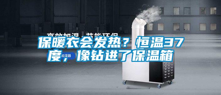 保暖衣會發(fā)熱？恒溫37度，像鉆進了保溫箱