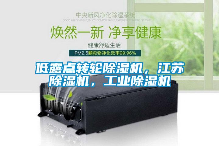 低露點(diǎn)轉(zhuǎn)輪除濕機(jī)，江蘇除濕機(jī)，工業(yè)除濕機(jī)