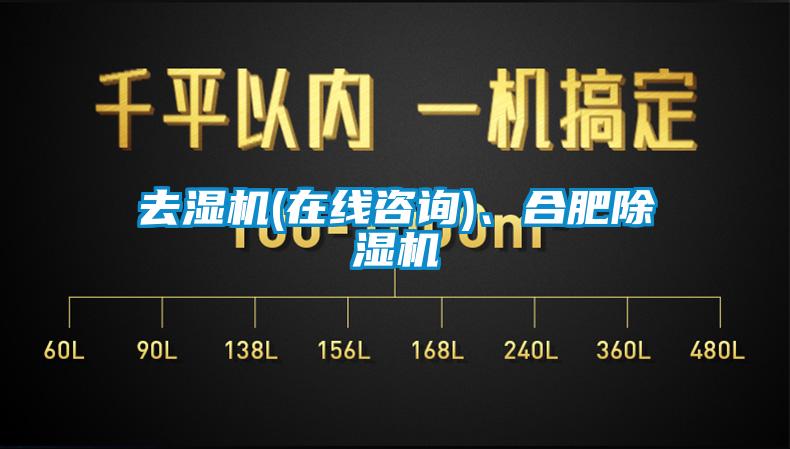 去濕機(在線咨詢)、合肥除濕機