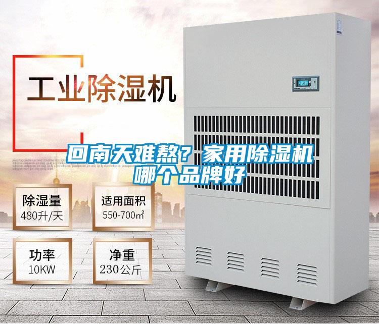 回南天難熬？家用除濕機(jī)哪個(gè)品牌好