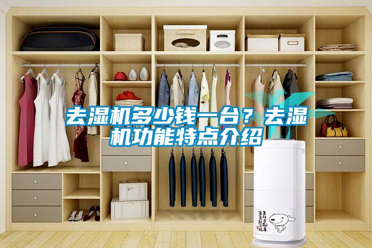 去濕機(jī)多少錢一臺？去濕機(jī)功能特點介紹
