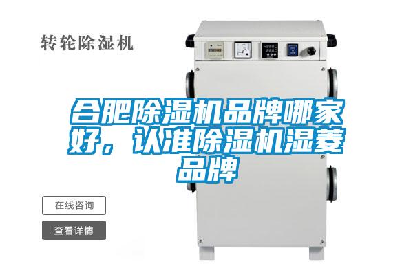 合肥除濕機(jī)品牌哪家好，認(rèn)準(zhǔn)除濕機(jī)濕菱品牌