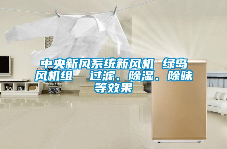 中央新風(fēng)系統(tǒng)新風(fēng)機 綠島風(fēng)機組  過濾、除濕、除味等效果