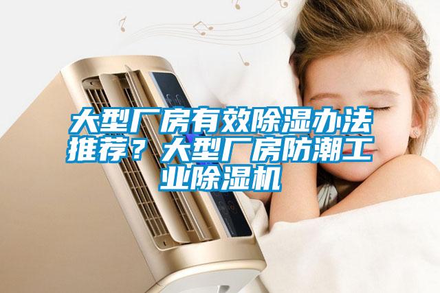 大型廠房有效除濕辦法推薦？大型廠房防潮工業(yè)除濕機(jī)