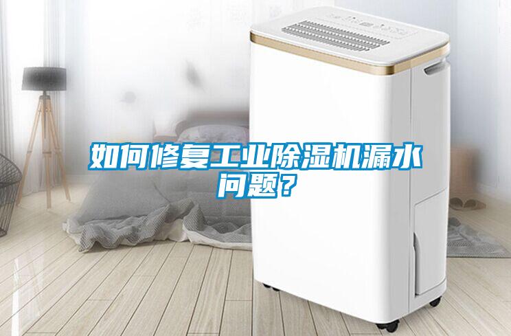如何修復(fù)工業(yè)除濕機(jī)漏水問題？