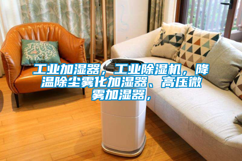 工業(yè)加濕器，工業(yè)除濕機，降溫除塵霧化加濕器、高壓微霧加濕器，