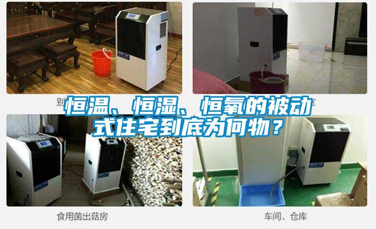 恒溫、恒濕、恒氧的被動式住宅到底為何物？