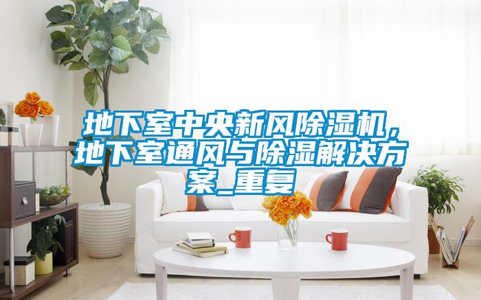 地下室中央新風(fēng)除濕機(jī)，地下室通風(fēng)與除濕解決方案_重復(fù)