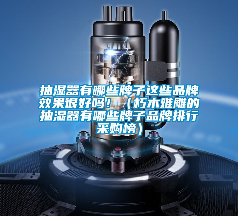 抽濕器有哪些牌子這些品牌效果很好嗎?。ㄐ嗄倦y雕的抽濕器有哪些牌子品牌排行采購榜）
