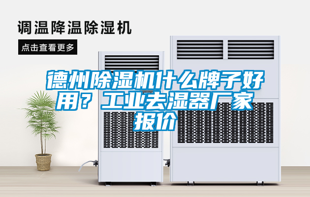 德州除濕機什么牌子好用？工業(yè)去濕器廠家報價