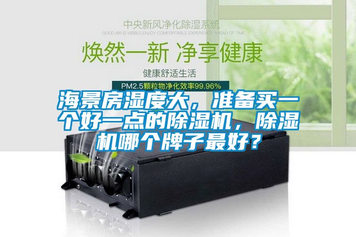 海景房濕度大，準(zhǔn)備買一個(gè)好一點(diǎn)的除濕機(jī)，除濕機(jī)哪個(gè)牌子最好？