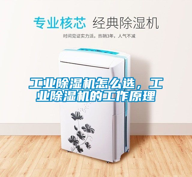 工業(yè)除濕機怎么選，工業(yè)除濕機的工作原理