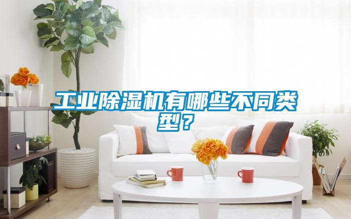工業(yè)除濕機有哪些不同類型？