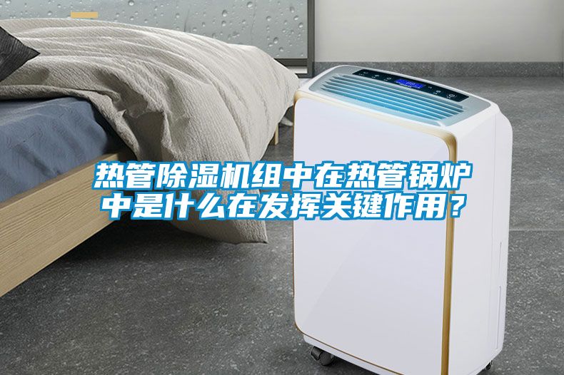 熱管除濕機(jī)組中在熱管鍋爐中是什么在發(fā)揮關(guān)鍵作用？