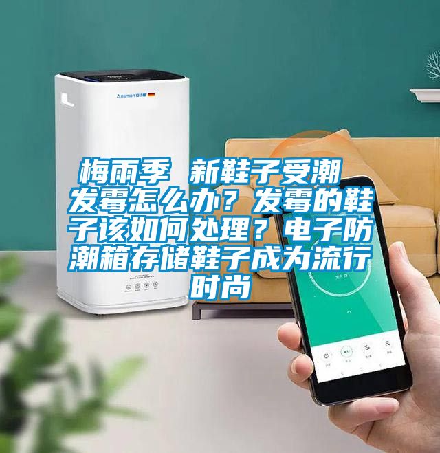 梅雨季 新鞋子受潮 發(fā)霉怎么辦？發(fā)霉的鞋子該如何處理？電子防潮箱存儲鞋子成為流行時尚