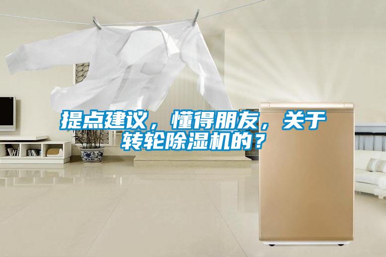提點(diǎn)建議，懂得朋友，關(guān)于轉(zhuǎn)輪除濕機(jī)的？
