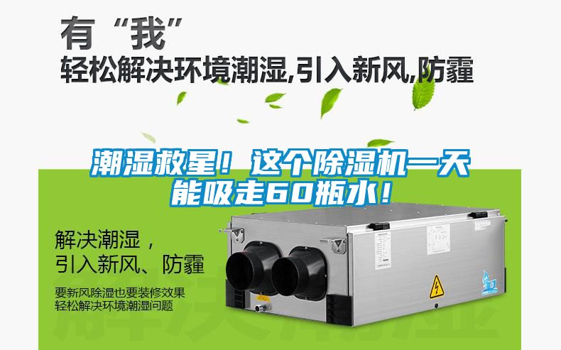 潮濕救星！這個(gè)除濕機(jī)一天能吸走60瓶水！