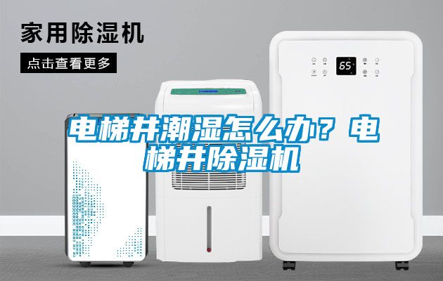 電梯井潮濕怎么辦？電梯井除濕機(jī)