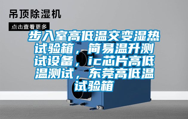 步入室高低溫交變濕熱試驗箱，簡易溫升測試設(shè)備，ic芯片高低溫測試，東莞高低溫試驗箱