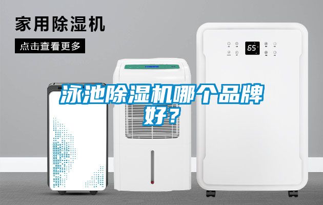 泳池除濕機哪個品牌好？