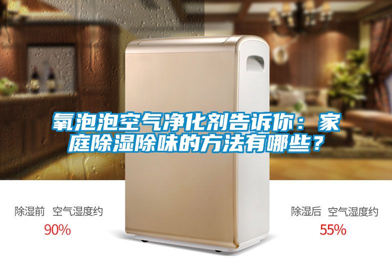 氧泡泡空氣凈化劑告訴你：家庭除濕除味的方法有哪些？