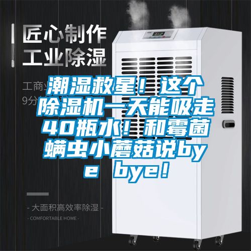 潮濕救星！這個除濕機一天能吸走40瓶水！和霉菌螨蟲小蘑菇說bye bye！