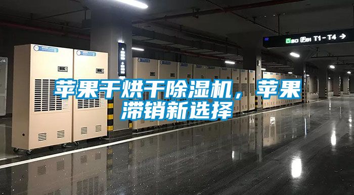 蘋(píng)果干烘干除濕機(jī)，蘋(píng)果滯銷新選擇