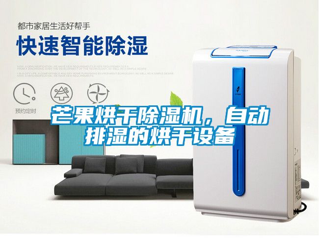 芒果烘干除濕機(jī)，自動(dòng)排濕的烘干設(shè)備