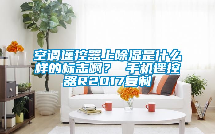 空調(diào)遙控器上除濕是什么樣的標(biāo)志??？ 手機(jī)遙控器R2017復(fù)制