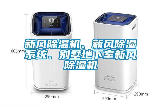 新風(fēng)除濕機(jī)、新風(fēng)除濕系統(tǒng)、別墅地下室新風(fēng)除濕機(jī)