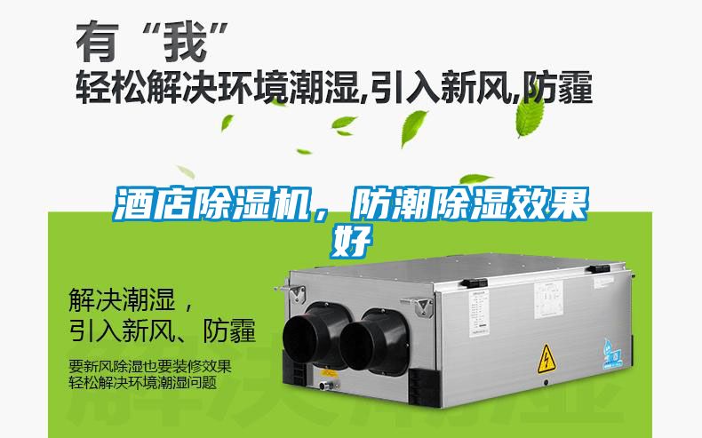 酒店除濕機，防潮除濕效果好
