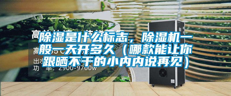 除濕是什么標志，除濕機一般一天開多久（哪款能讓你跟曬不干的小內(nèi)內(nèi)說再見）