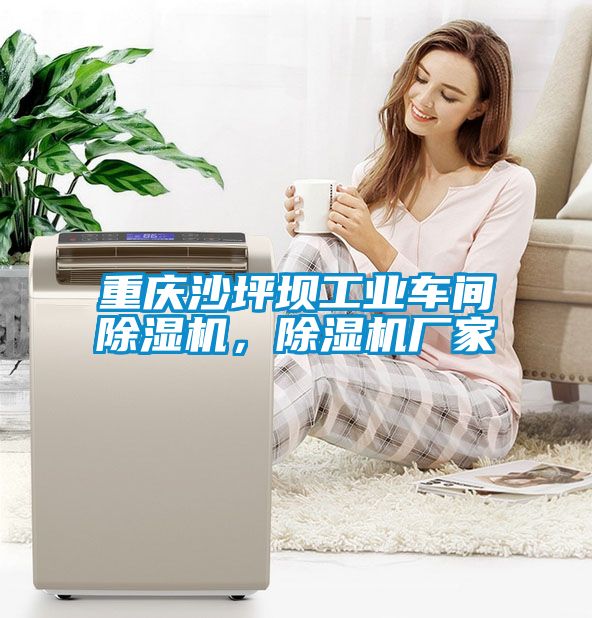 重慶沙坪壩工業(yè)車間除濕機(jī)，除濕機(jī)廠家