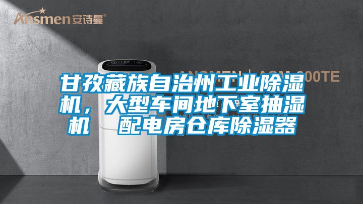 甘孜藏族自治州工業(yè)除濕機，大型車間地下室抽濕機  配電房倉庫除濕器