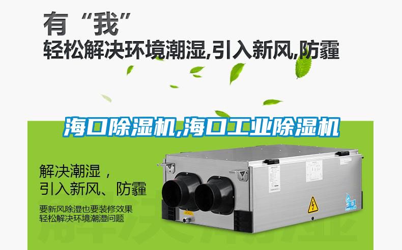 海口除濕機,?？诠I(yè)除濕機