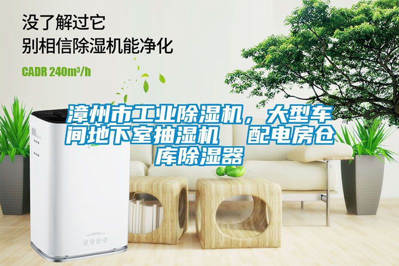 漳州市工業(yè)除濕機(jī)，大型車間地下室抽濕機(jī)  配電房倉庫除濕器