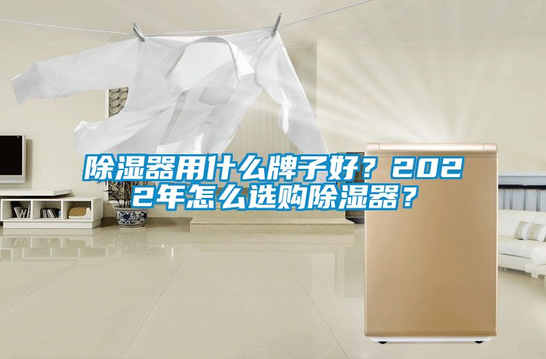 除濕器用什么牌子好？2022年怎么選購除濕器？