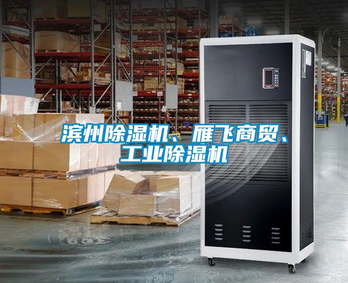 濱州除濕機(jī)、雁飛商貿(mào)、工業(yè)除濕機(jī)