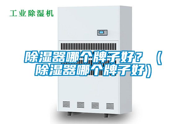 除濕器哪個(gè)牌子好？（除濕器哪個(gè)牌子好）