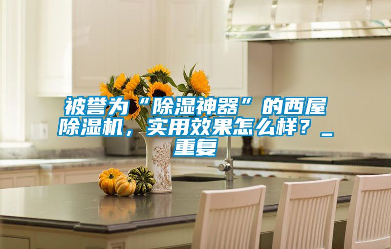 被譽(yù)為“除濕神器”的西屋除濕機(jī)，實(shí)用效果怎么樣？_重復(fù)